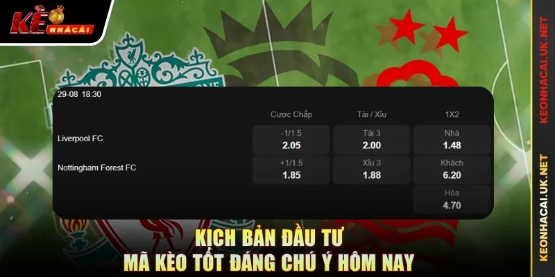 Kịch bản đầu tư mã kèo tốt đáng chú ý hôm nay