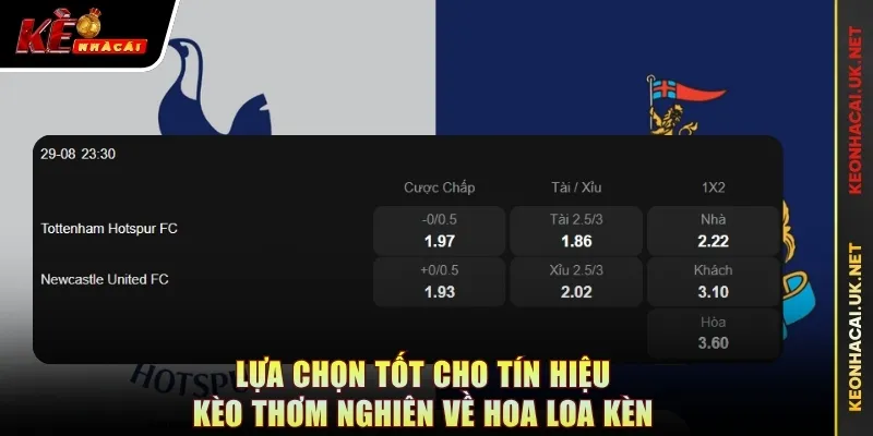 Lựa chọn tốt cho tín hiệu kèo thơm nghiên về Hoa Loa Kèn